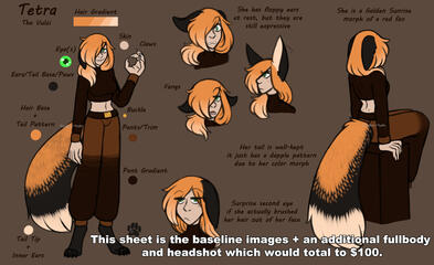 This sheet is the baseline images + an additional fullbody and headshot which would total to $100.